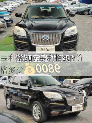 宝利格suv,宝利格suv价格多少