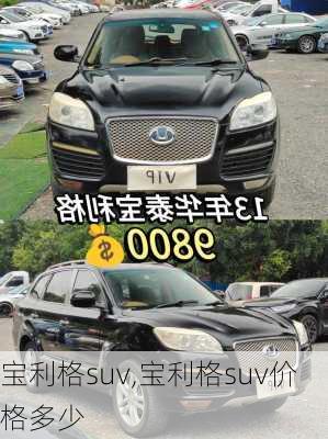 宝利格suv,宝利格suv价格多少