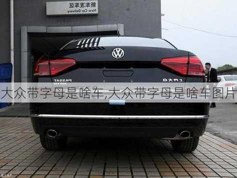 大众带字母是啥车,大众带字母是啥车图片