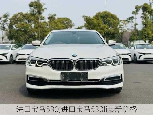 进口宝马530,进口宝马530li最新价格