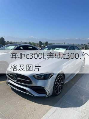 奔驰c300l,奔驰c300l价格及图片