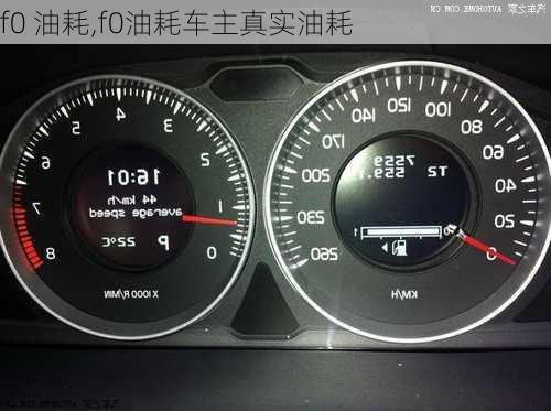 f0 油耗,f0油耗车主真实油耗