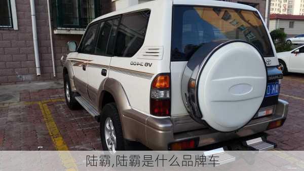 陆霸,陆霸是什么品牌车