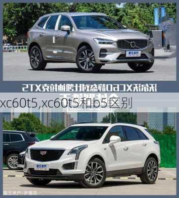 xc60t5,xc60t5和b5区别