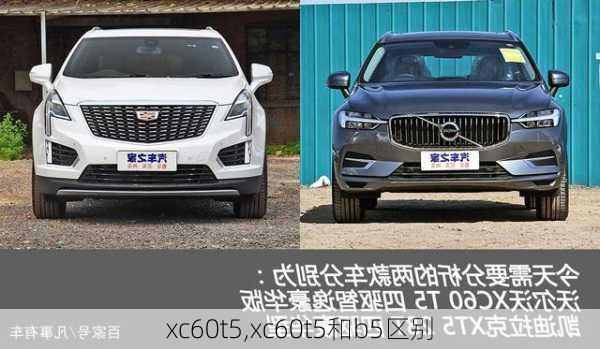 xc60t5,xc60t5和b5区别