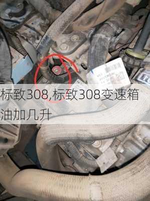 标致308,标致308变速箱油加几升