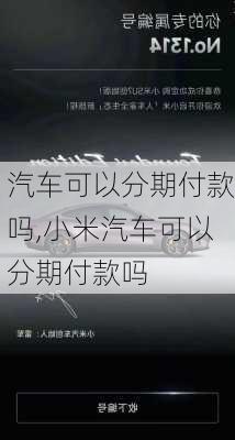 汽车可以分期付款吗,小米汽车可以分期付款吗