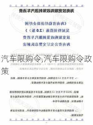 汽车限购令,汽车限购令政策