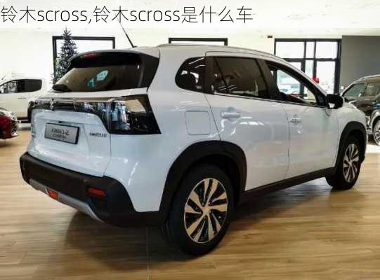 铃木scross,铃木scross是什么车