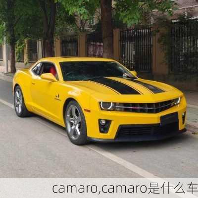 camaro,camaro是什么车