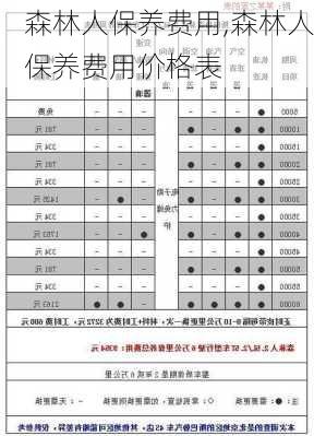 森林人保养费用,森林人保养费用价格表