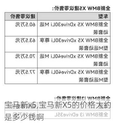 宝马新x5,宝马新X5的价格大约是多少钱啊