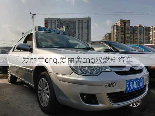 爱丽舍cng,爱丽舍cng双燃料汽车