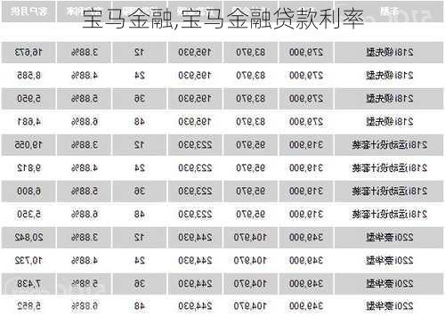 宝马金融,宝马金融贷款利率