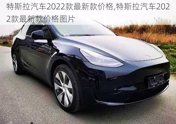 特斯拉汽车2022款最新款价格,特斯拉汽车2022款最新款价格图片