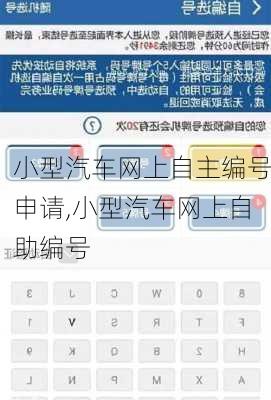 小型汽车网上自主编号申请,小型汽车网上自助编号