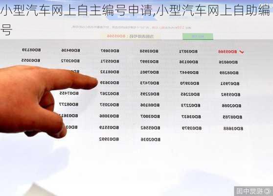 小型汽车网上自主编号申请,小型汽车网上自助编号