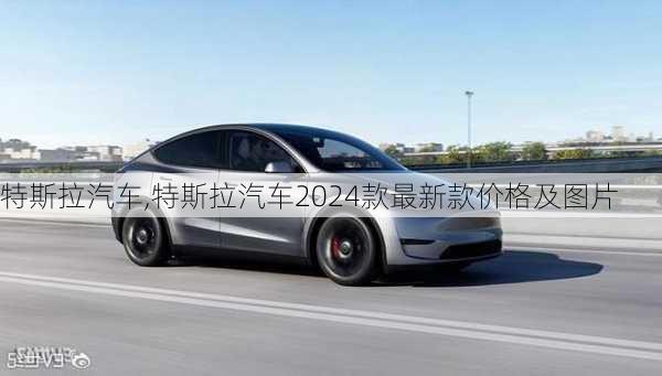 特斯拉汽车,特斯拉汽车2024款最新款价格及图片