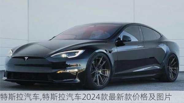 特斯拉汽车,特斯拉汽车2024款最新款价格及图片