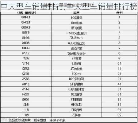 中大型车销量排行,中大型车销量排行榜