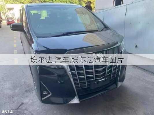 埃尔法 汽车,埃尔法汽车图片