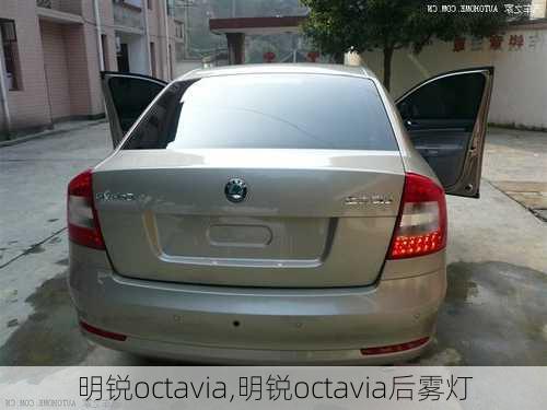 明锐octavia,明锐octavia后雾灯