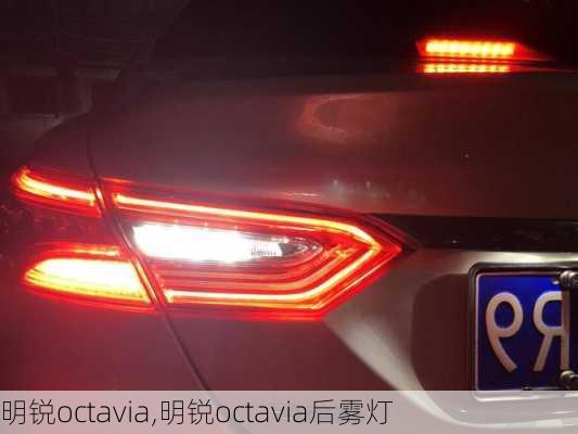 明锐octavia,明锐octavia后雾灯