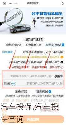 汽车投保,汽车投保查询