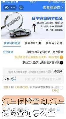 汽车保险查询,汽车保险查询怎么查