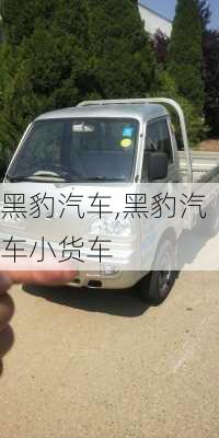 黑豹汽车,黑豹汽车小货车