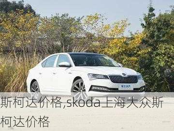 斯柯达价格,skoda上海大众斯柯达价格