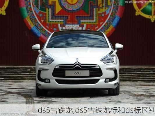 ds5雪铁龙,ds5雪铁龙标和ds标区别