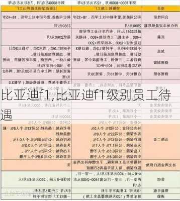 比亚迪f1,比亚迪f1级别员工待遇