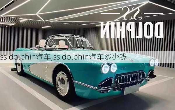 ss dolphin汽车,ss dolphin汽车多少钱