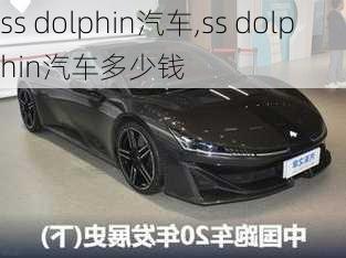 ss dolphin汽车,ss dolphin汽车多少钱