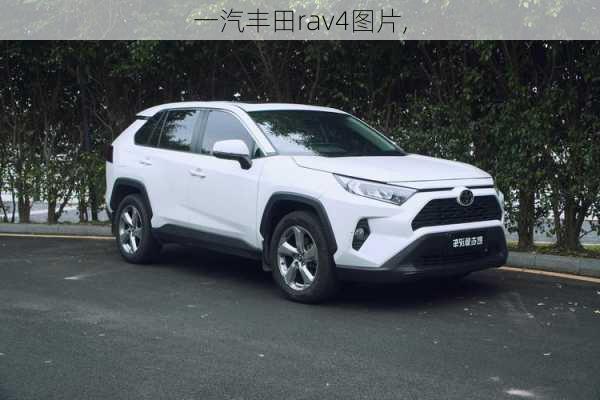 一汽丰田rav4图片,