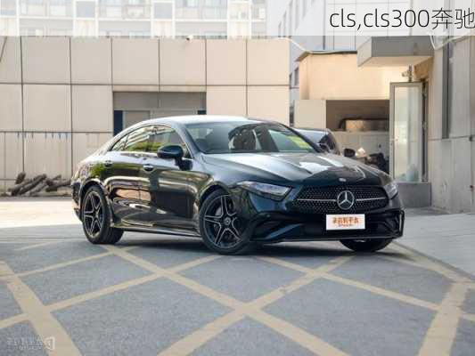 cls,cls300奔驰