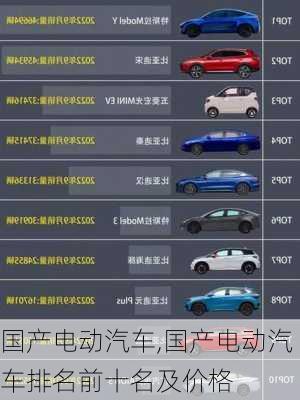 国产电动汽车,国产电动汽车排名前十名及价格