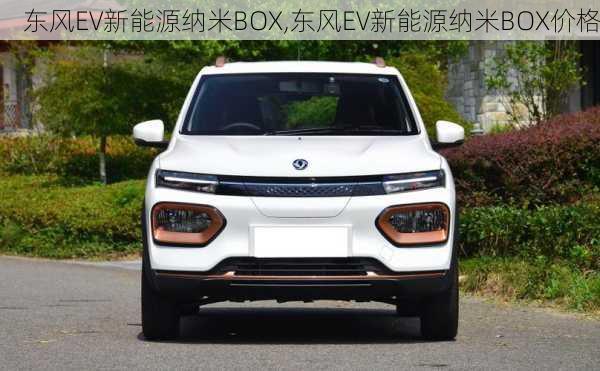 东风EV新能源纳米BOX,东风EV新能源纳米BOX价格