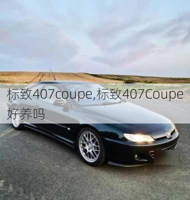 标致407coupe,标致407Coupe好养吗