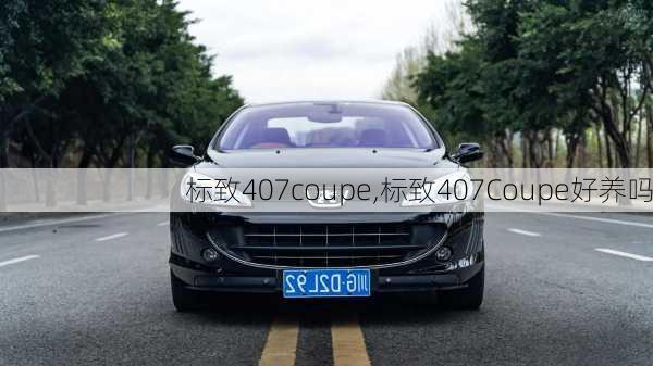 标致407coupe,标致407Coupe好养吗