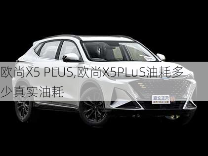 欧尚X5 PLUS,欧尚X5PLuS油耗多少真实油耗