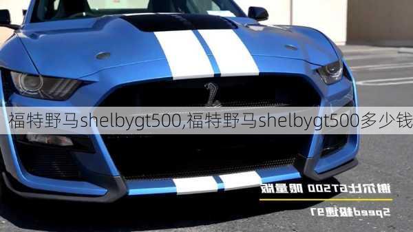 福特野马shelbygt500,福特野马shelbygt500多少钱