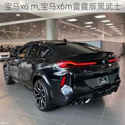 宝马x6 m,宝马x6m雷霆版黑武士