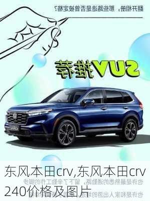 东风本田crv,东风本田crv240价格及图片