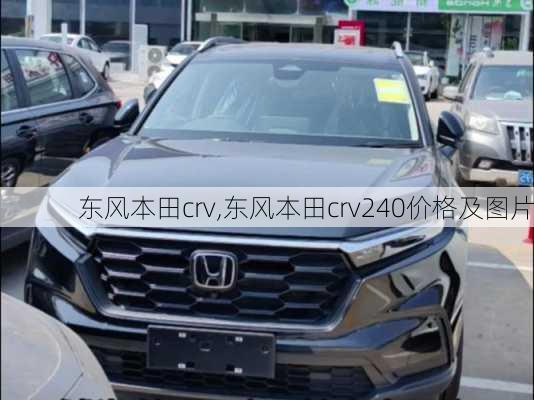 东风本田crv,东风本田crv240价格及图片