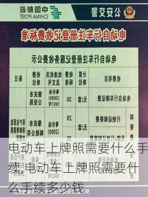 电动车上牌照需要什么手续,电动车上牌照需要什么手续多少钱