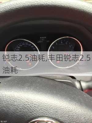 锐志2.5油耗,丰田锐志2.5油耗