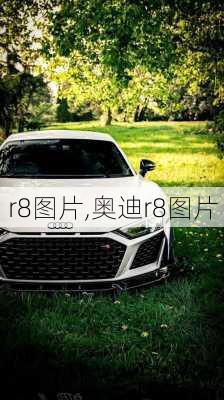 r8图片,奥迪r8图片