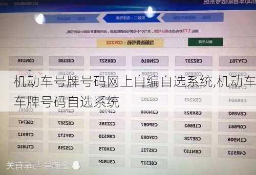 机动车号牌号码网上自编自选系统,机动车车牌号码自选系统